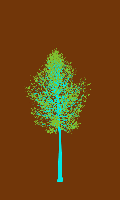 greenshift tree