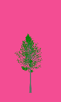 greenshift tree