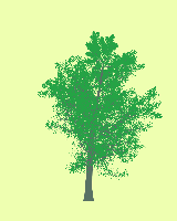 greenshift tree
