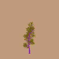 greenshift tree
