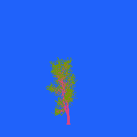 greenshift tree
