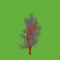 greenshift tree