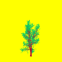 greenshift tree