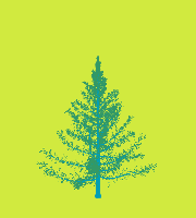 greenshift tree