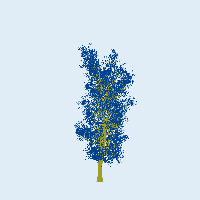 greenshift tree