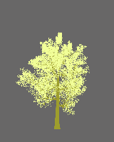 greenshift tree