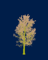 greenshift tree