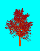 greenshift tree