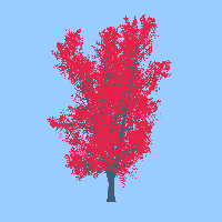 greenshift tree