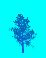 greenshift tree