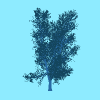 greenshift tree