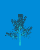 greenshift tree