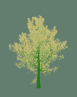 greenshift tree
