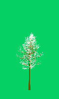 greenshift tree