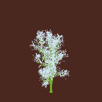 greenshift tree