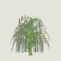 greenshift tree