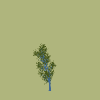 greenshift tree