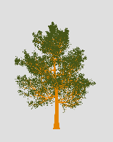 greenshift tree