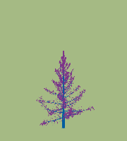 greenshift tree