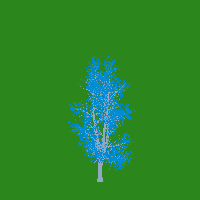 greenshift tree