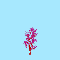 greenshift tree