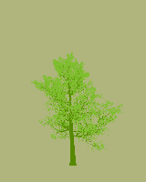 greenshift tree
