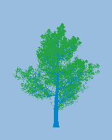 greenshift tree