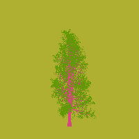 greenshift tree