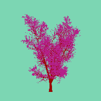 greenshift tree