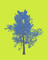 greenshift tree