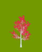 greenshift tree