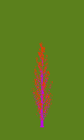 greenshift tree