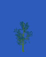greenshift tree