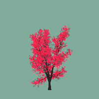 greenshift tree