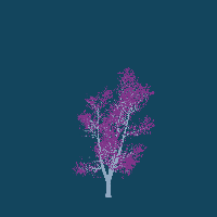 greenshift tree