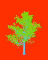 greenshift tree