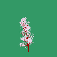 greenshift tree