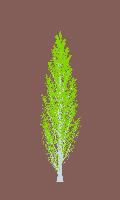 greenshift tree
