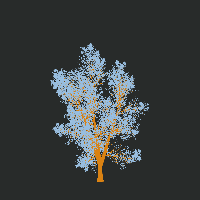greenshift tree