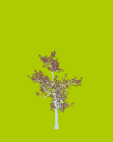 greenshift tree