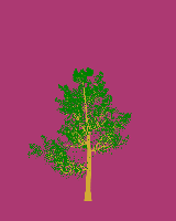 greenshift tree