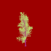 greenshift tree