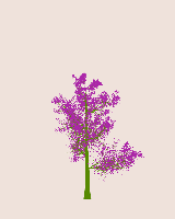 greenshift tree