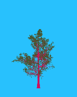 greenshift tree