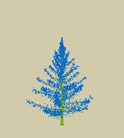 greenshift tree
