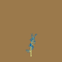 greenshift tree