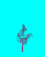 greenshift tree