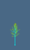 greenshift tree