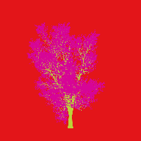 greenshift tree