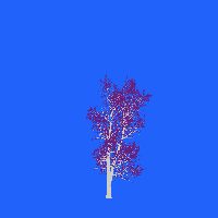 greenshift tree
